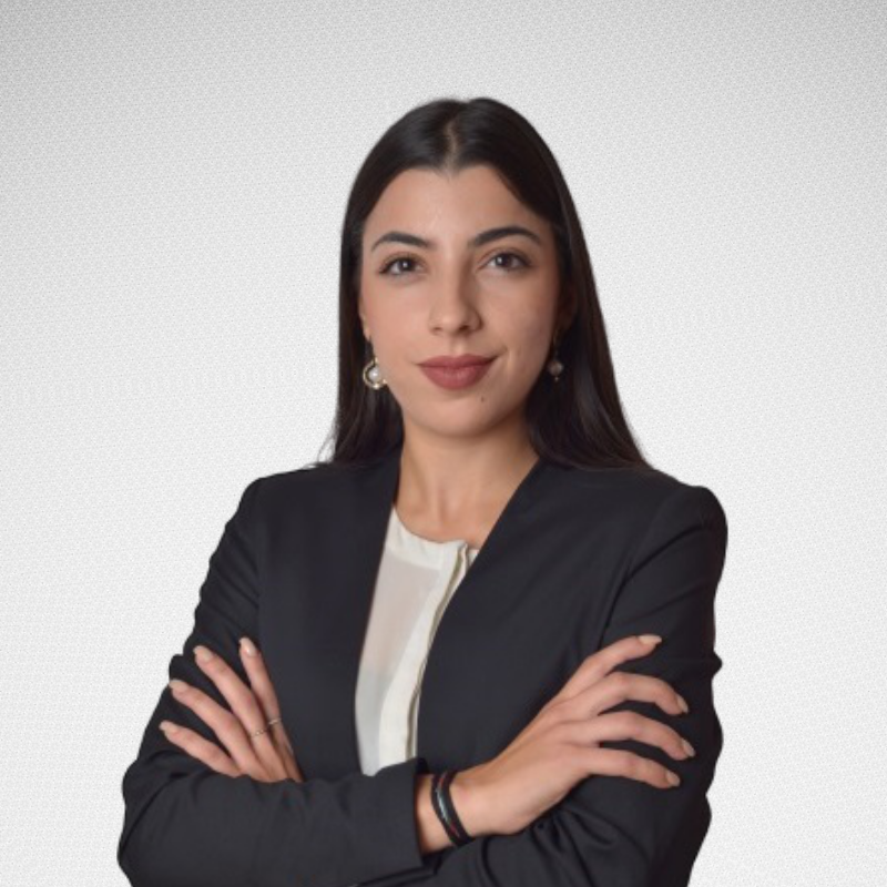 the article was written by Evangelia Adamou, an advocate, an associate of Nicholas Ktenas 